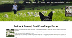 Desktop Screenshot of greatoceanducks.com
